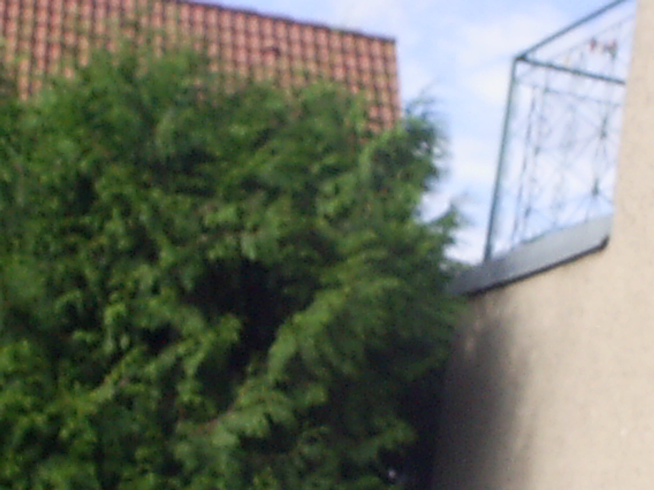 zateplený dům 003